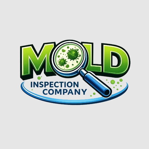 Mold Inspections Company Dallas